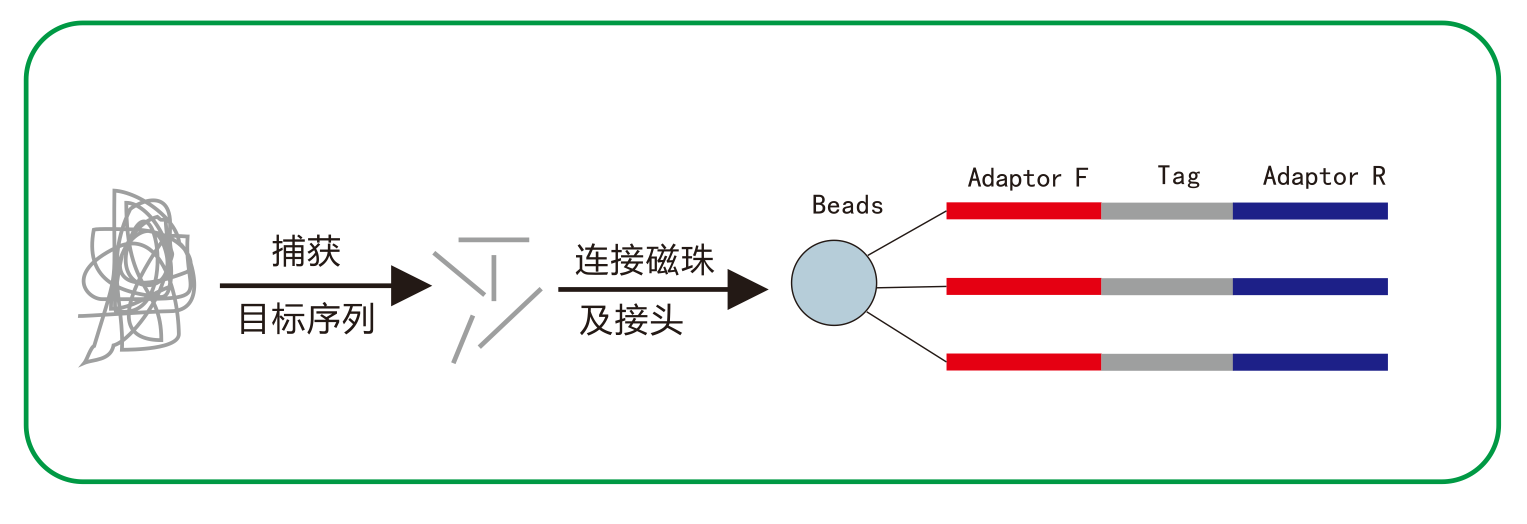 2-样本处理原理图.png